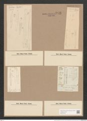Synedra pulchella (Ralfs). Kuetz. (de-Toni-Nr.: Genus 66, Species 2582) Zeichnungen Sammlung Grunow Nr. 5156 (NHMW-BOT-W0373476)